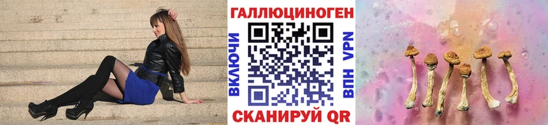 Псилоцибиновые грибы Psilocybe  цены наркотик  Каменск-Уральский 